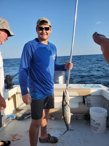 An angler holding a 24-inch fish in North Carolina