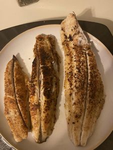 Two fish caught while fishing in Hampstead