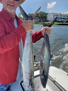 Two king mackerel fish caught in Hampstead