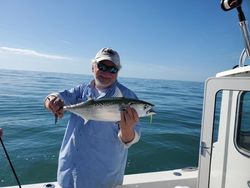 A photo of a little tunny fish caught by a person fishing in North Carolina.