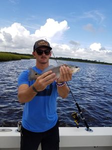 A redfish caught in NC while fishing