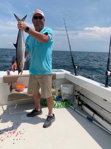 Spanish Mackerel fishing catch in Hampstead