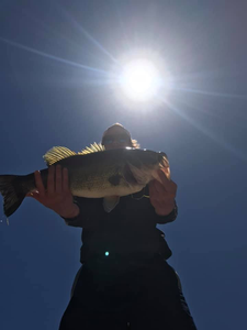 Angler fishing in Pennsylvania