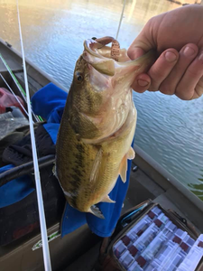 A fishing trip in PA