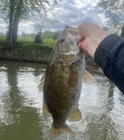 Fishing trip in PA