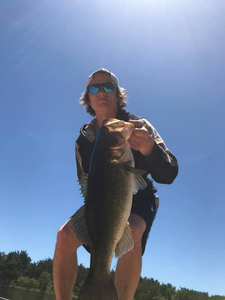 Photo of a Florida Bass fish measuring 26 inches