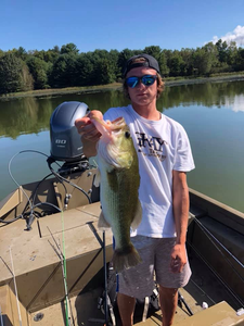 Largemouth bass caught in Hummels Wharf