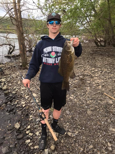 Smallmouth Bass caught in PA