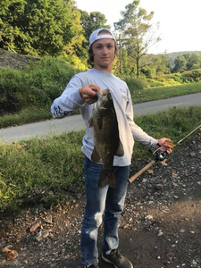 Smallmouth bass caught in Hummels Wharf