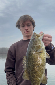 A single smallmouth bass fish caught in PA
