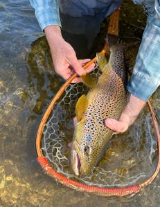 Angler with a big 22-inch catch during fishing trip