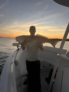 One fishing rod in Florida