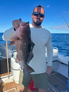 Gag grouper caught while fishing in Florida