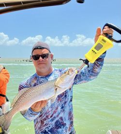 Spotted Weakfish caught while fishing in TX