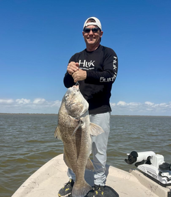 Black drum fish caught in TX