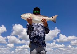 A redfish caught while fishing in Matagorda