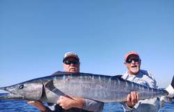 Wahoo fish caught at Pensacola Beach, Florida