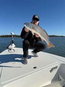 Fish-Species