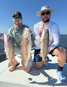 3 redfish caught fishing at Cedar Point