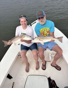 Fish-Species