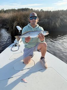 Fish-Species