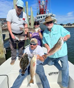 5 Summer Flounder, Redfish, and Redfish caught at Cedar Point
