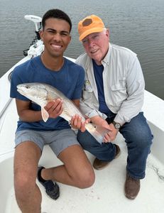 Fish-Species