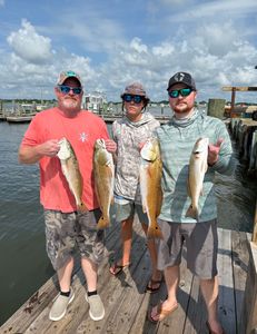 Fish-Species