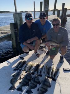 Anglers holding 3 spotted weakfish and black drum at Cedar Point