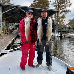 Three spotted weakfish caught while fishing in North Carolina