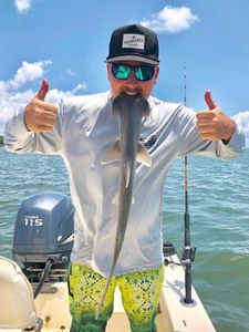 Bonnethead shark caught while fishing in NC