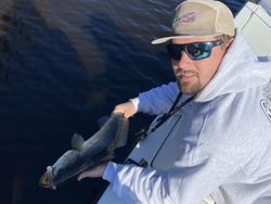 Image of a 7-inch brown bullhead fish caught while fishing in NC