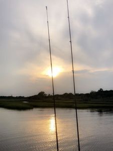 Great fishing in NC
