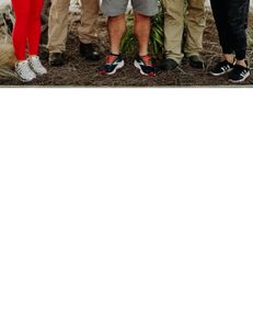 Stunning landscape of North Carolina