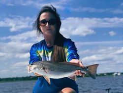 Redfish caught by angler at Cedar Point