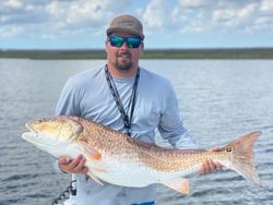Redfish caught in NC