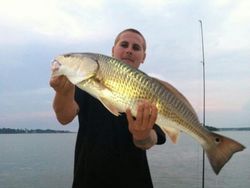 Redfish caught at Cedar Point