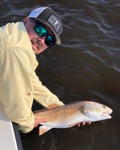 Redfish caught fishing at Cedar Point