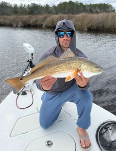 Redfish caught at Cedar Point