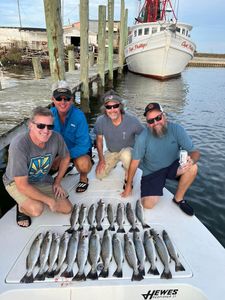 7 spotted weakfish caught on a fishing trip in NC