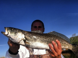 Spotted Weakfish, 29 inches, caught fishing in NC