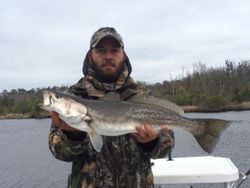Spotted Weakfish caught at Cedar Point