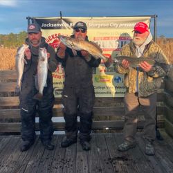 Spotted Weakfish, 4 fish caught in Cedar Point