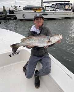 Spotted Weakfish, 29 inches, caught while fishing at Cedar Point