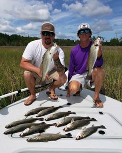 Five spotted weakfish, 16 inches, fishing in NC