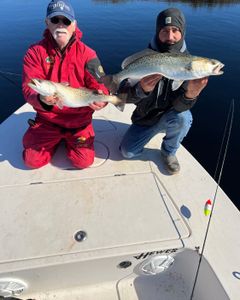 Two spotted weakfish, a great catch in NC