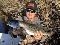 Spotted Weakfish, 23 inches, caught fishing in NC