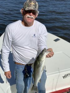 A fisherman holding a striped bass in NC