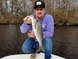Striped bass caught at Cedar Point