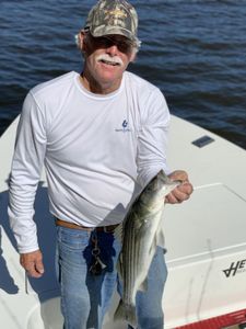 Striped bass caught while fishing in NC